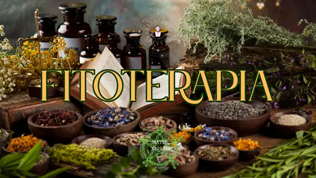 Curso de Fitoterapia Online grabado